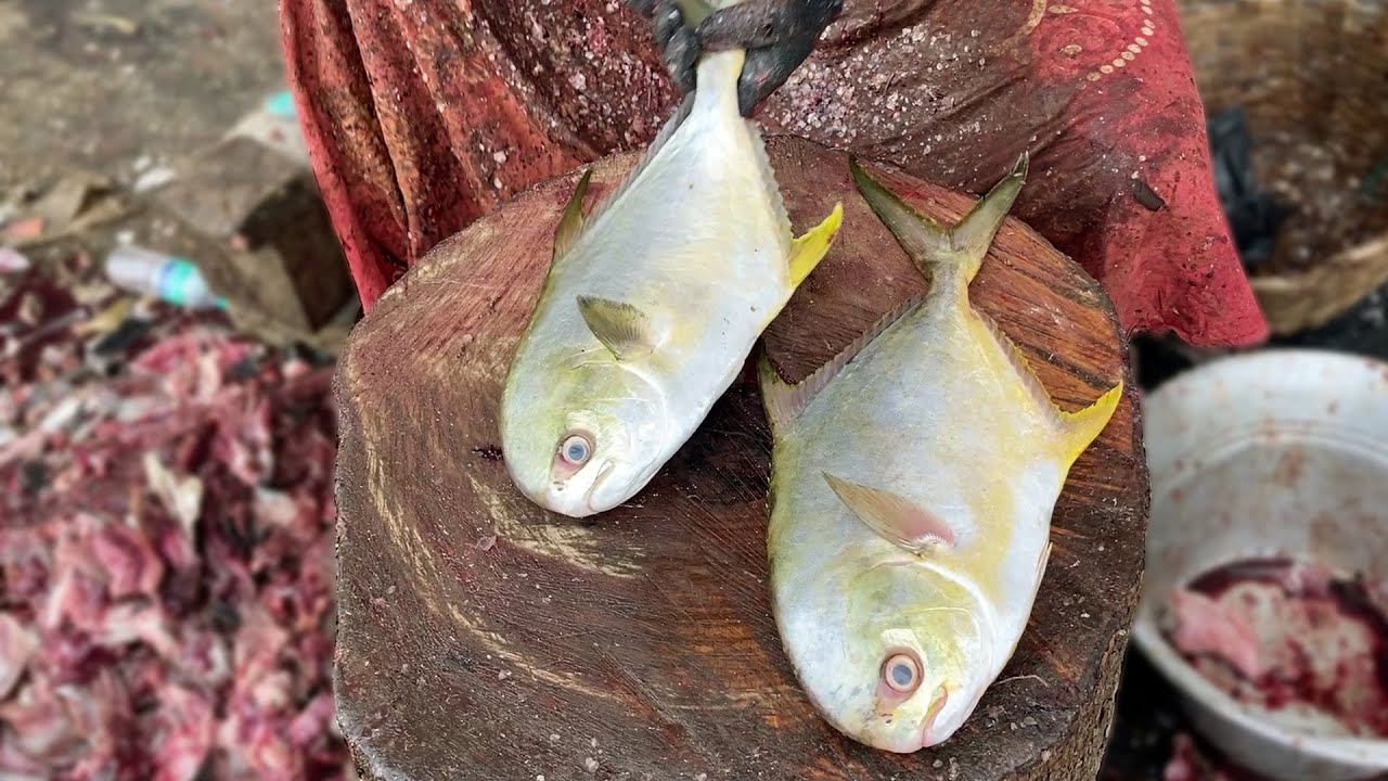 1300 Rs/ $18 Rare& Tastiest Trevally (Thukinasi Paarai) Fish Cutting in Indian Fish Market