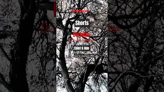 Download lagu Berjalan di Hutan Cemara - Ebiet G Ade #shorts #cover #storywa #tembang #kenangan @Radiojaddoels mp3 Download lagu Berjalan di Hutan Cemara - Ebiet G Ade #shorts #cover #storywa #tembang #kenangan @Radiojaddoels mp3