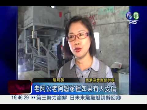 古早味變商機! "麻油達"藥膏上市