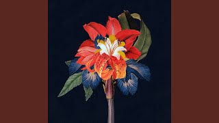 Nervous Tics (feat. Holly Walker)