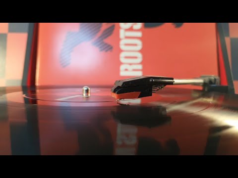 ALBUM "ROOTS MARKET" - JUANTXO SKALARI & LA RUDE BAND