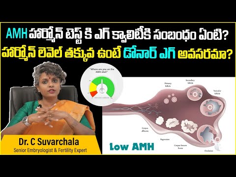 హార్మోన్ లెవెల్ తక్కువ ఉంటే || AMH Level For Normal Pregnancy || Dr C Suvarchala