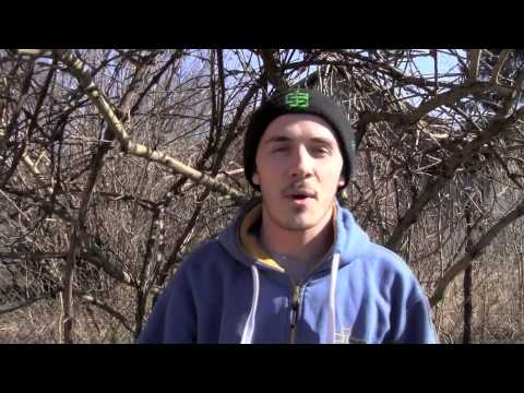 Junior Stress w Glasgow