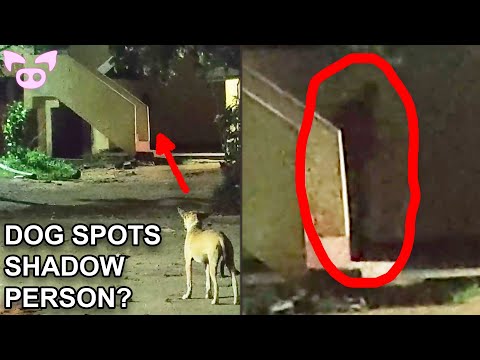 This Freaky Clip Is Making People Lose Sleep