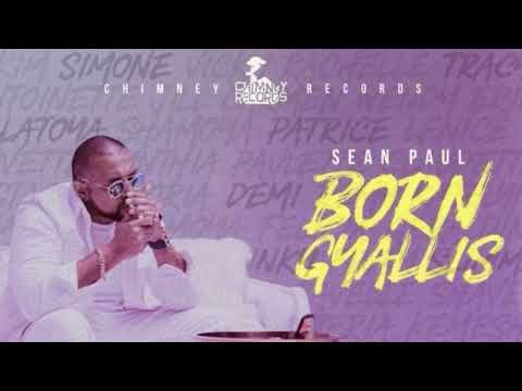 "Sean Paul - Born Gyallis - (Official Audio) - [Aircraft Riddim] - September 2022"