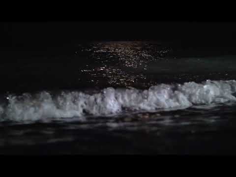 FALL ASLEEP FAST in Psalm 104 with OCEAN Waves [Christian Sleep Meditation]