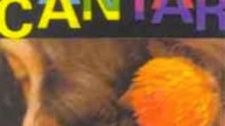 Gal Costa - Flor do Cerrado