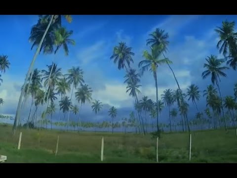 Pontifexx  @milagres -  (2016-2017)