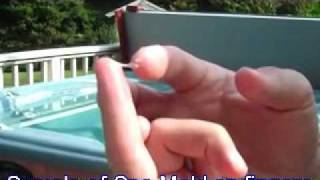 Spa & Hot tub Mold Basics, PoolSpaGuru.com