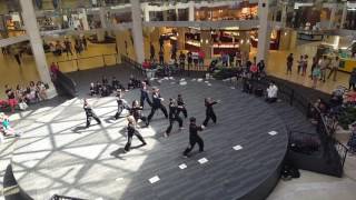 West Edmonton Mall Taegeuk Taekwondo Demo Team Performance