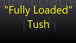Fully Loaded - Tush (ZZ Top Cover)