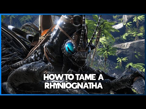 How to Easily Tame a Rhyniognatha in {ARK SURVIVAL ASCENDED}