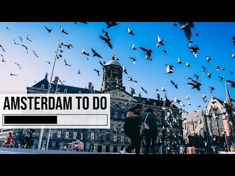 Dam Square | Amsterdam TO DO