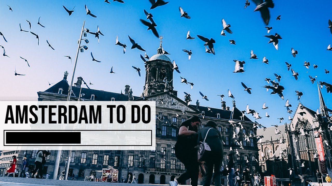 Discover the vibrant heart of Amsterdam, the iconic Dam Square.