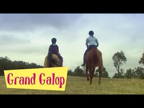 Grand Galop 224 - Impair et manque | HD | Épisode Complet