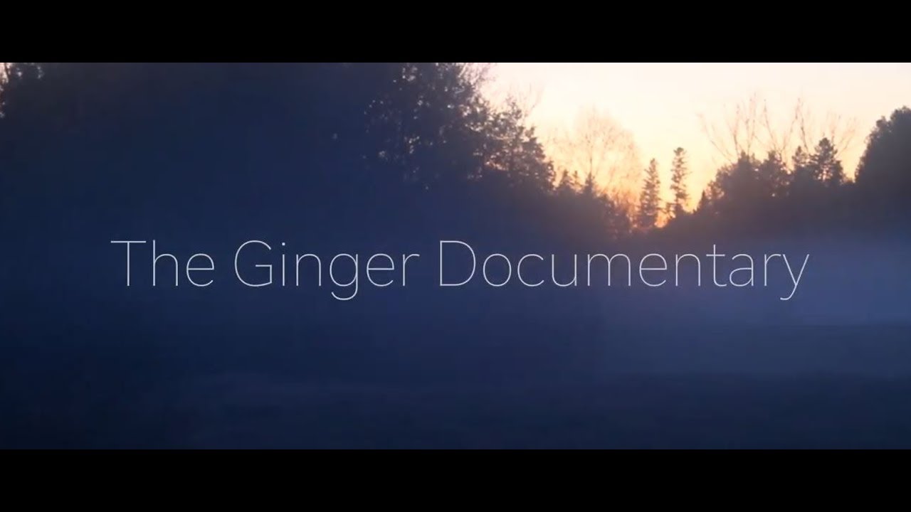 The 9 Best Documentaries About Gingers