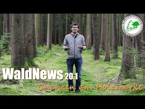 Waldnews 20.1 - Aktuelle Chancen am Holzmarkt