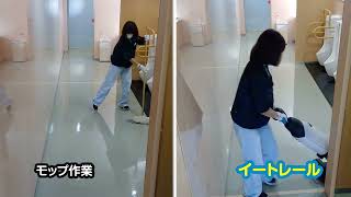 動画