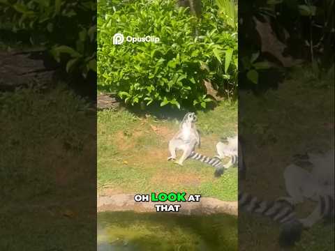 Creepy! Someone Knows We're Watching    Deshawn, What's Going On ! #shorts