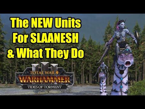 The NEW Slaanesh Units & What They Do - Tides of Torment - Total War Warhammer 3 - First Look