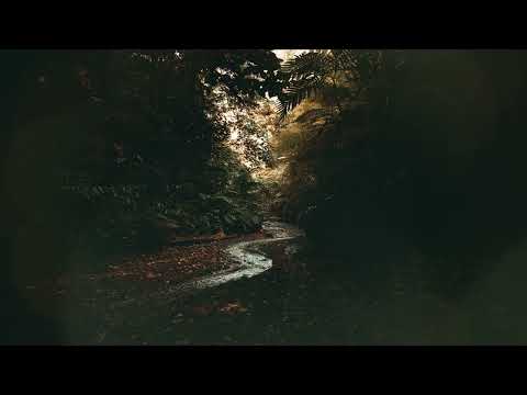 Metronomy  biig piig - 405  [Subtitulado Ing/Esp]