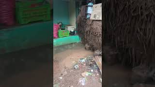 Download lagu கந்தர்வகோட்டை பெரிய கடை வீதியில் மழை நீர்கள் சூழ்ந்துள்ளதால் பொதுமக்கள் வணிகர்கள் விரக்தி  இனிவரும் mp3 Download lagu கந்தர்வகோட்டை பெரிய கடை வீதியில் மழை நீர்கள் சூழ்ந்துள்ளதால் பொதுமக்கள் வணிகர்கள் விரக்தி  இனிவரும் mp3
