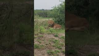 Nothing Beats A Queen Elizabeth Holiday Uganda #ugmagic