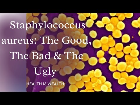 What is Staph aureus and how does it affect your health?