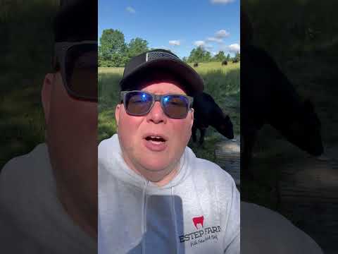 What Can Cows and Bread Teach Us About Financial Balance #financiallyconfidentchristian #cows