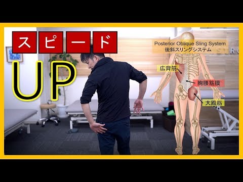 【2024年版】歩行における腕振りの重要性、上肢・体幹トレーニングまで紹介      リハビリ論文サマリー – STROKE LAB 東京/大阪 自費リハビリ | 脳卒中/神経系
