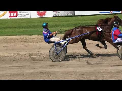 Trka"Memorijal Albe Tumbas Loketić" 29 07 2018 Morena Lobel-Laza Balazević