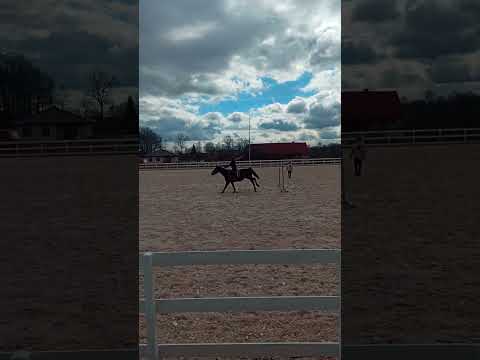Trening na nowym placu 🐎 Ranczo Gościszow 🐎