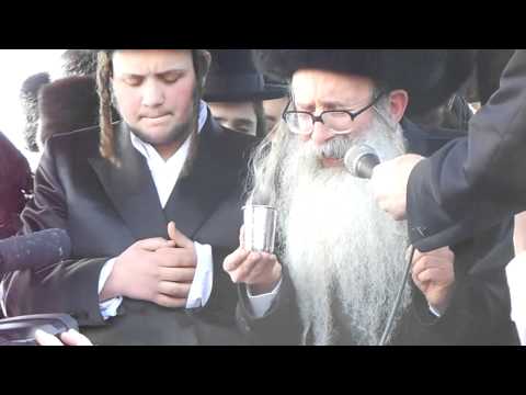 Amshinover Rebbe Mesader Kedushin at son's wedding 2/9/12