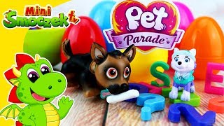 Psi Patrol: Everest i Pieski Z Pet Parade i Jajka Niespodzianki | Bajki Zabawki Dla Dzieci Po Polsku