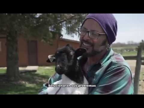 Entrevista a Jackson Galaxy, experto en gatos