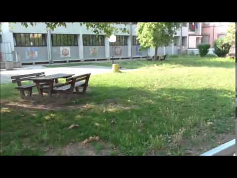 Bentino and Musiari - Ecco a voi Calerno (Prima parte)