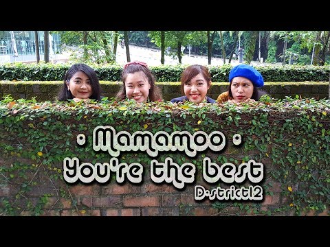 D-STRICT 12 : Mamamoo - You're the best Dance Cover