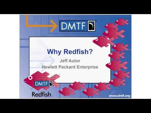 Redfish School - Why Redfish™?