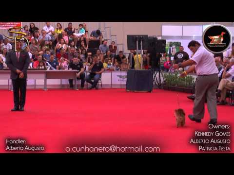 TRIACCAN JAGER LEBLON ML   #1 Grupo   KCEC   Novembro 2014