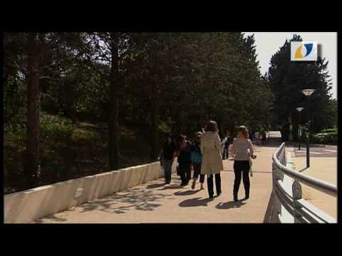 Etudier en France et en Allemagne - UFA-DFH