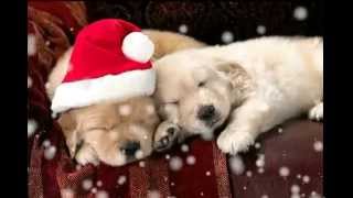 BATE O SINO - SIMONE