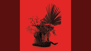 THE SOUND (Live)
