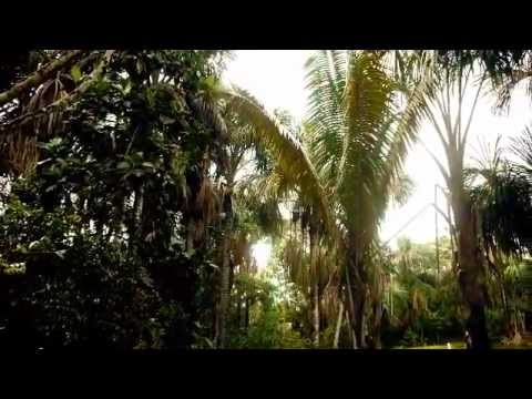 Orlando Magim Matios - Icaros 03