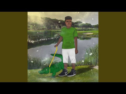 Como Treinar Seu Crocodilo