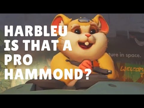 Overwatch Harbleu Showing His Sick Hammond Skills