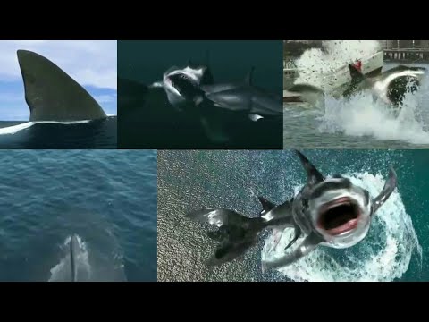 2025 Armageddon [2022] - Megalodon / Mega Shark Screen Time