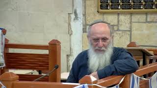 סמכות העם והנביא לבחור מלך - שיעור 21 - שמואל א' - פרקים ח-ט (הרב אורי עמוס שרקי) - התמונה מוצגת ישירות מתוך אתר האינטרנט יוטיוב. זכויות היוצרים בתמונה שייכות ליוצרה. קישור קרדיט למקור התוכן נמצא בתוך דף הסרטון