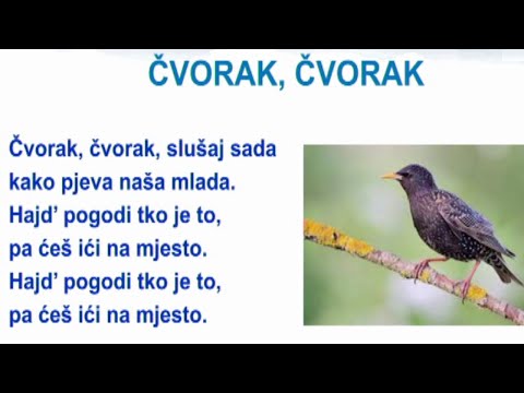 1. RAZRED - HRVATSKI I GLAZBENA KULTURA - PJESMA ČVORAK, ČVORAK