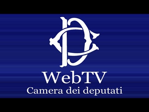 webtv.camera.tv COMMISSIONE URANIO IMPOVERITO - Audizione maresciallo Carofiglio - (28-06-2017)