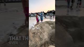They dug a massive hole on a beach in France 😱